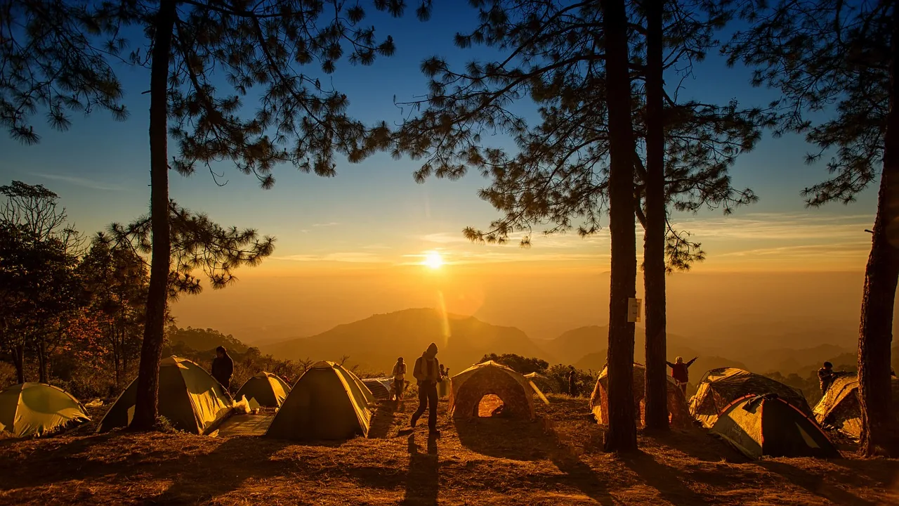Campamento entre árboles al atardecer, imagen ilustrativa